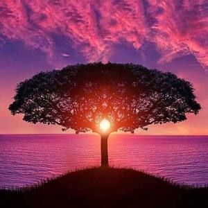 Meet your Posher, Anne